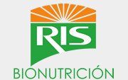 Ris